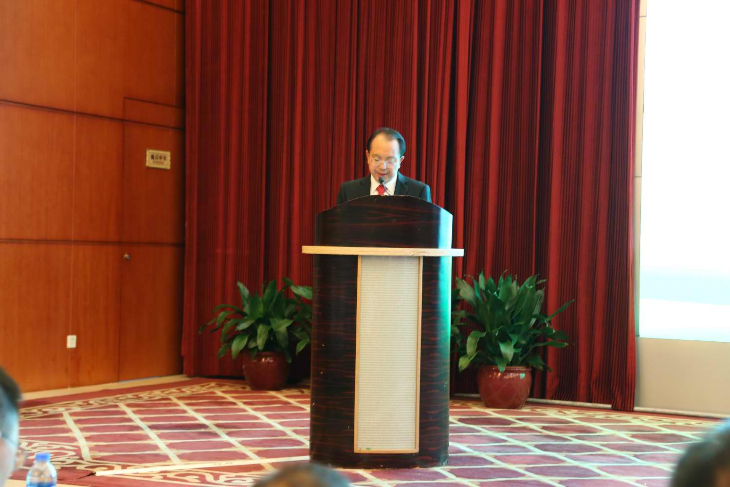 王海鹏会长发表讲话